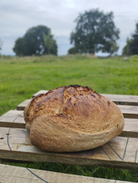 Pain de campagne, levain de seigle